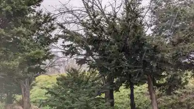 曙神社(北海道)