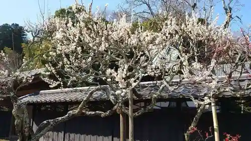 東慶寺の自然