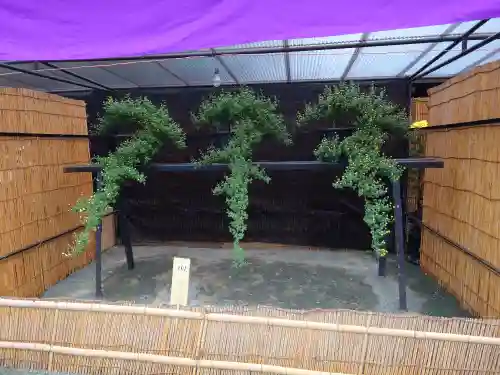 宗像大社(福岡県)