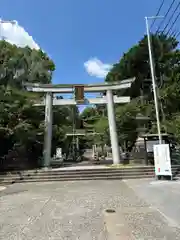 針綱神社(愛知県)