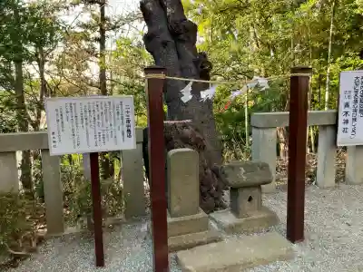 青木神社（笠間町）の{uncategorized: "未分類", other: "その他", undefined: "問題あり", building: "その他建物", grave: "お墓", sacred_gate: "鳥居", guardian: "狛犬", statue: "像", buddha: "仏像", history: "歴史", nature: "自然", garden: "庭園", animal: "動物", pagoda: "塔", temizu: "手水舎", mountain_gate: "山門・神門", sanctuary: "本殿・本堂", subordinate: "末社・摂社", art: "芸術", scenery: "景色", jizo: "地蔵", ema: "絵馬", goshuin: "御朱印", omikuji: "おみくじ", items: "授与品その他", amulet: "お守り", goshuincho: "御朱印帳", eats: "食事", festival: "お祭り", votive_dance: "神楽", shichigosan: "七五三参", wedding: "結婚式", experience: "体験その他", initially: "初詣", around: "周辺", anti_infection: "感染症対策"}