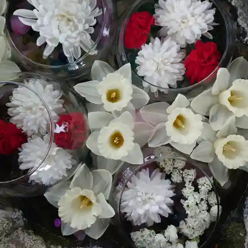 伊達神社(北海道)