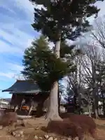 巨摩神社(山梨県)