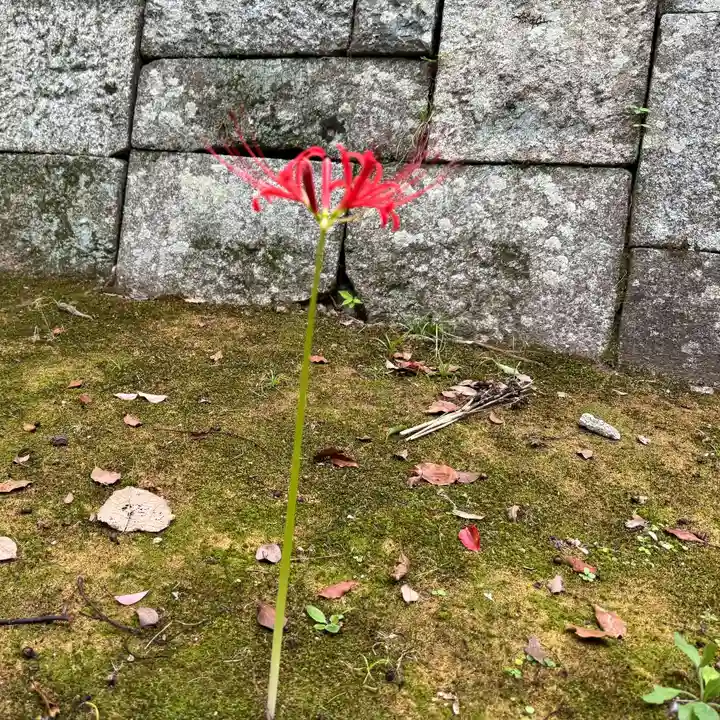 伊勢の国 四天王寺(三重県)