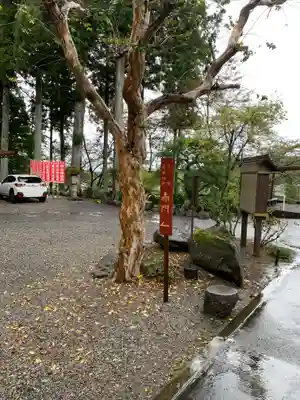 赤門の寺　法蔵寺の自然