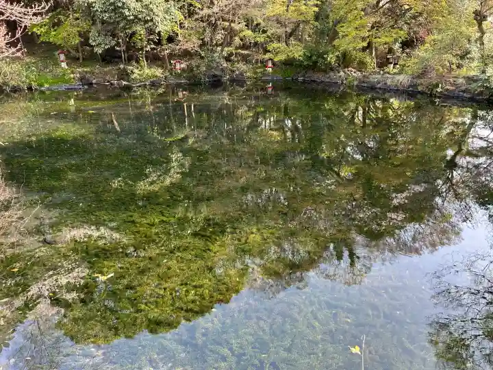 富士山本宮浅間大社の{uncategorized: "未分類", other: "その他", undefined: "問題あり", building: "その他建物", grave: "お墓", sacred_gate: "鳥居", guardian: "狛犬", statue: "像", buddha: "仏像", history: "歴史", nature: "自然", garden: "庭園", animal: "動物", pagoda: "塔", temizu: "手水舎", mountain_gate: "山門・神門", sanctuary: "本殿・本堂", subordinate: "末社・摂社", art: "芸術", scenery: "景色", jizo: "地蔵", ema: "絵馬", goshuin: "御朱印", omikuji: "おみくじ", items: "授与品その他", amulet: "お守り", goshuincho: "御朱印帳", eats: "食事", festival: "お祭り", votive_dance: "神楽", shichigosan: "七五三参", wedding: "結婚式", experience: "体験その他", initially: "初詣", around: "周辺", anti_infection: "感染症対策"}