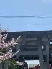 住吉神社の鳥居