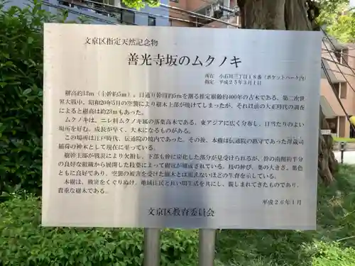 澤蔵司稲荷（慈眼院）のその他建物