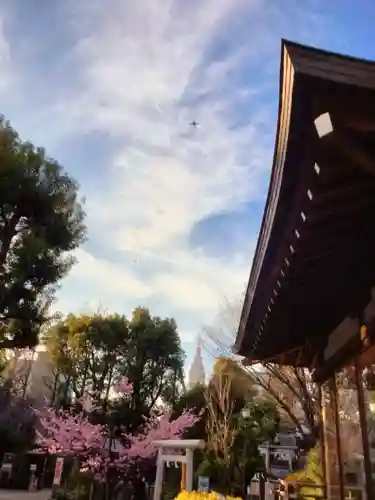 鳩森八幡神社の景色
