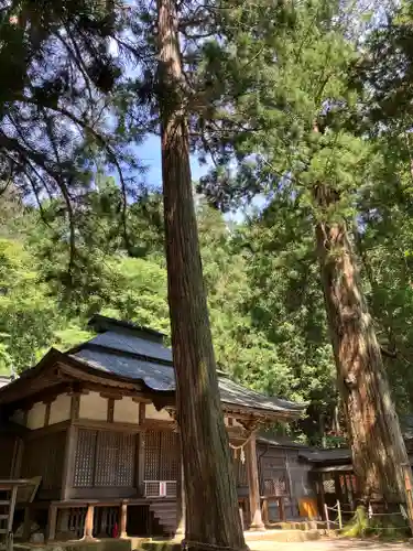 日枝神社(岐阜県)
