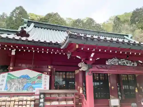 箱根神社の本殿・本堂