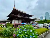 増上寺の本殿・本堂