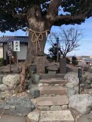 春ノ木神明社(神奈川県)