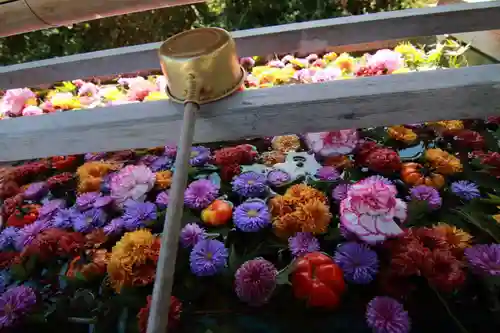 豊景神社の手水