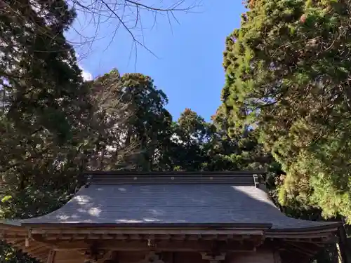 藏皇神社の本殿