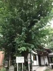 登渡神社の建物その他