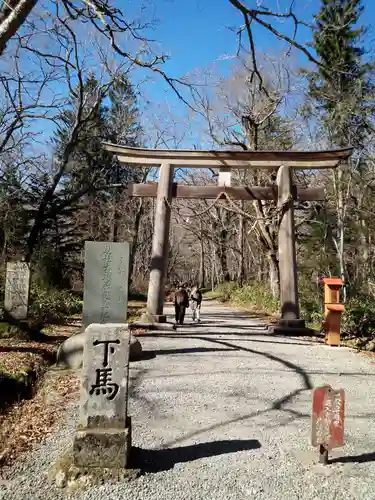 戸隠神社奥社の鳥居