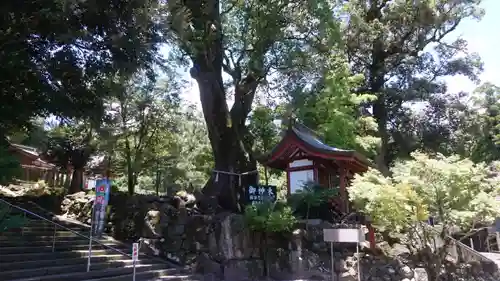 鹿児島神宮(鹿児島県)