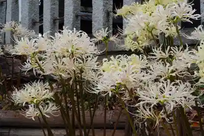 玉田神社(京都府)