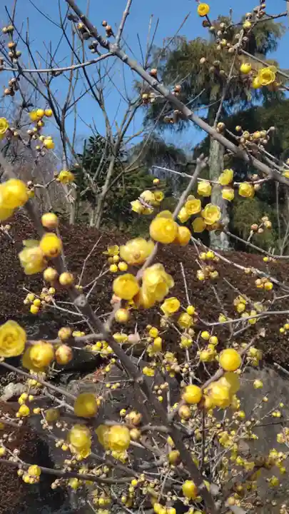 横浜 西方寺(神奈川県)
