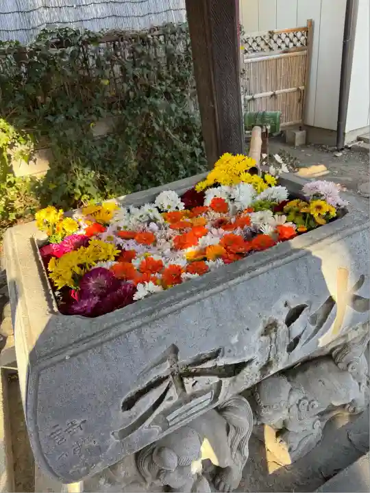 於菊稲荷神社(群馬県)