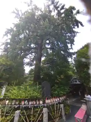 七社神社(東京都)