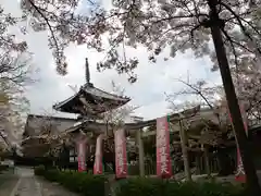 本法寺(京都府)