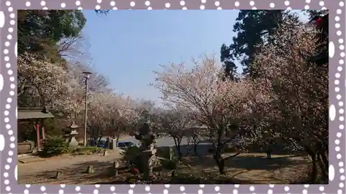 千代ケ岡八幡宮(栃木県)