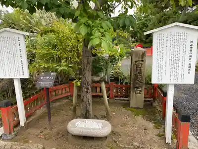白山神社(新潟県)