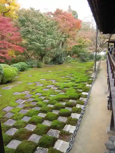 東福禅寺（東福寺）の庭園