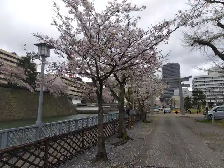 福井神社(福井県)