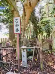 医王寺の自然