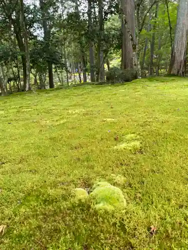 西芳寺(京都府)