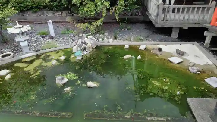 六孫王神社(京都府)