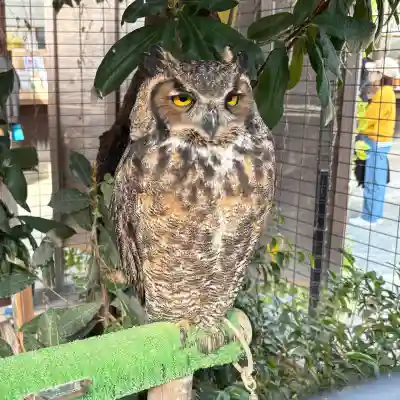 宮地嶽神社(福岡県)