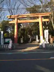 世田谷八幡宮の鳥居