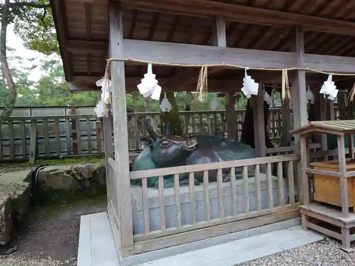 出雲大社(島根県)