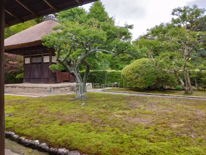 長壽寺(長寿寺)(神奈川県)