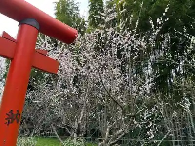 五所八幡宮(福岡県)