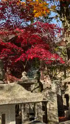 光明寺（粟生光明寺）(京都府)