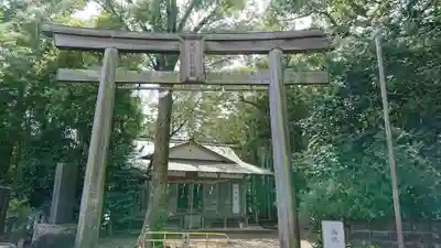 阿蘇神社の鳥居