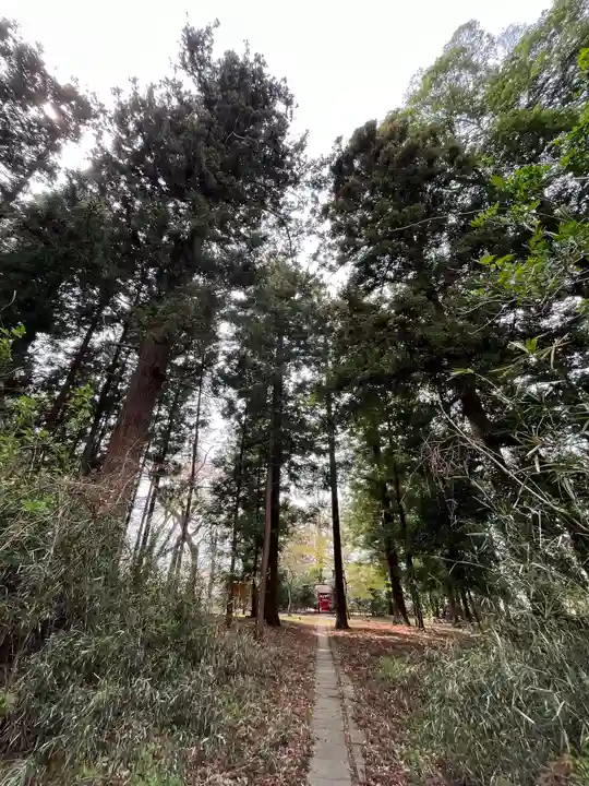 神炊館神社 ⁂奥州須賀川総鎮守⁂の周辺