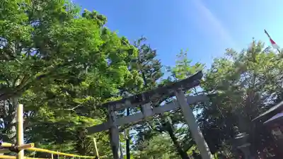 出雲大神宮のその他建物