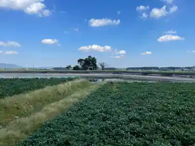 菟上神社の周辺