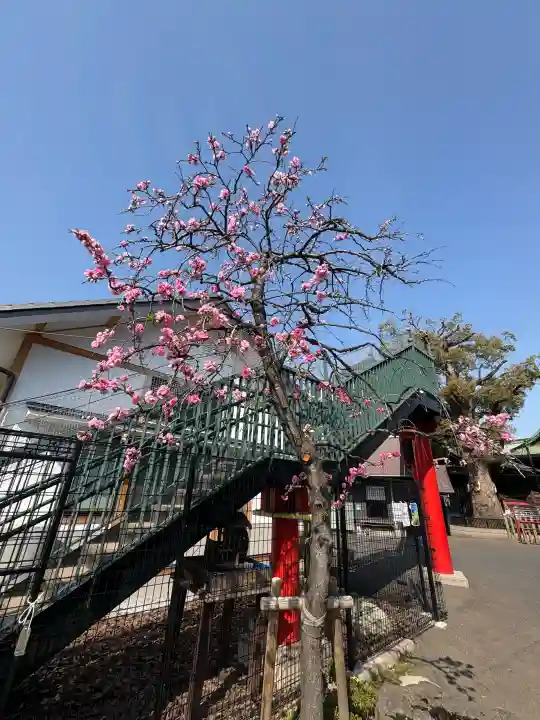 五方山熊野神社の{uncategorized: "未分類", other: "その他", undefined: "問題あり", building: "その他建物", grave: "お墓", sacred_gate: "鳥居", guardian: "狛犬", statue: "像", buddha: "仏像", history: "歴史", nature: "自然", garden: "庭園", animal: "動物", pagoda: "塔", temizu: "手水舎", mountain_gate: "山門・神門", sanctuary: "本殿・本堂", subordinate: "末社・摂社", art: "芸術", scenery: "景色", jizo: "地蔵", ema: "絵馬", goshuin: "御朱印", omikuji: "おみくじ", items: "授与品その他", amulet: "お守り", goshuincho: "御朱印帳", eats: "食事", festival: "お祭り", votive_dance: "神楽", shichigosan: "七五三参", wedding: "結婚式", experience: "体験その他", initially: "初詣", around: "周辺", anti_infection: "感染症対策"}