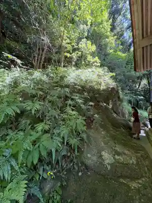 出雲大社(島根県)