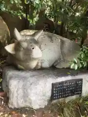 岡崎天満宮の狛犬