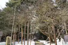 伊佐須美神社(福島県)