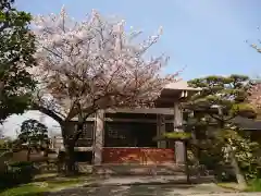 常徳寺の本殿