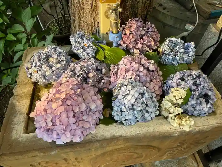 菊名神社の手水舎